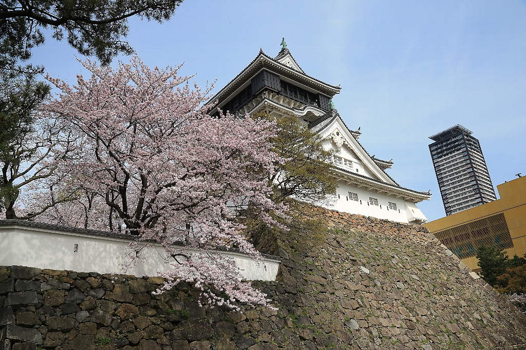 勝山公園 小倉城 詳情 瀏覽 Japan Travel By Navitime 日本旅遊指南 地圖 轉乘搜尋和路線規劃工具